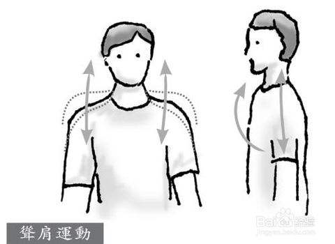 如何提高視力-視普泰驗(yàn)光師培訓(xùn)學(xué)院護(hù)眼小科普系列
