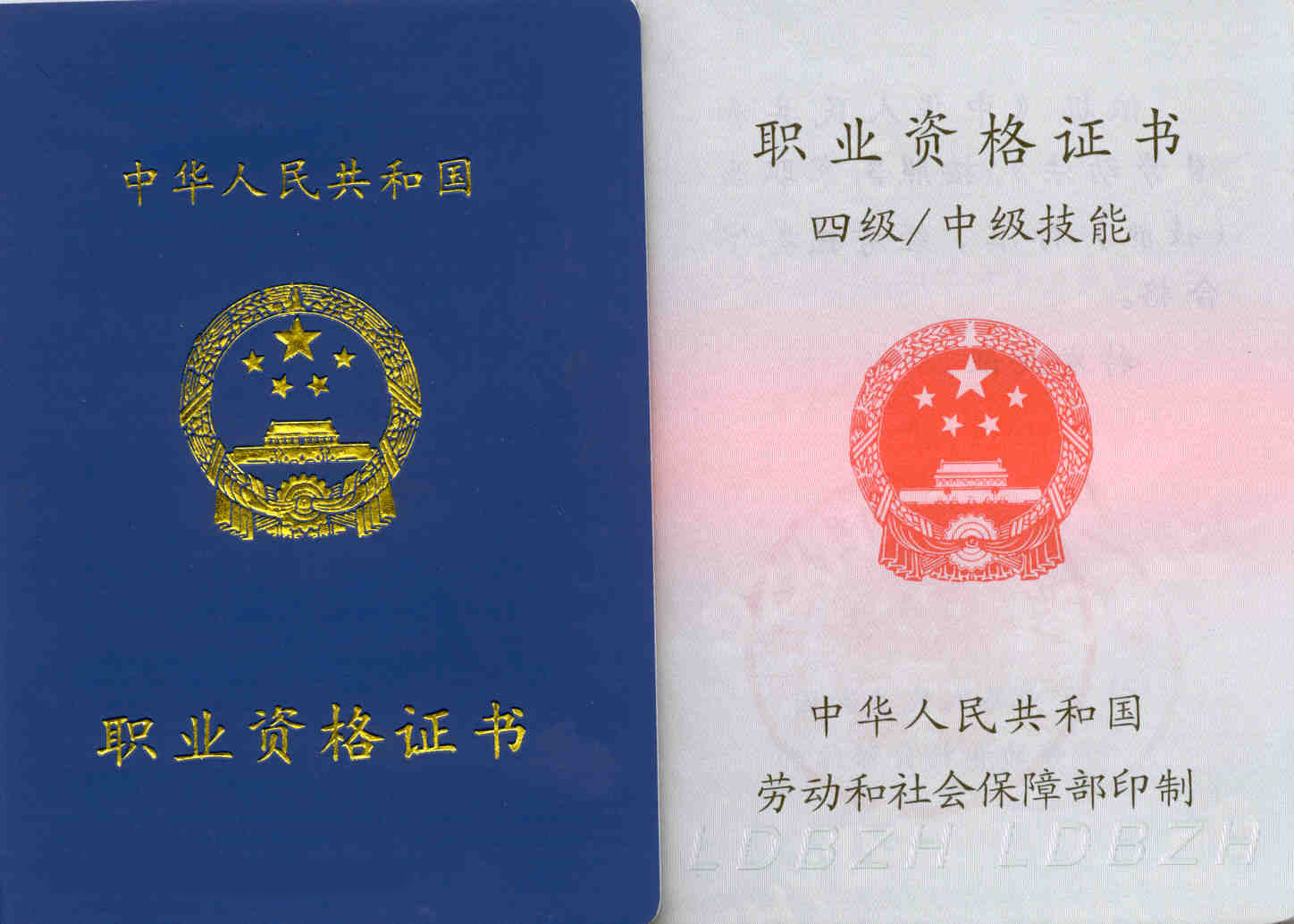 職業(yè)資格培訓(xùn)證書