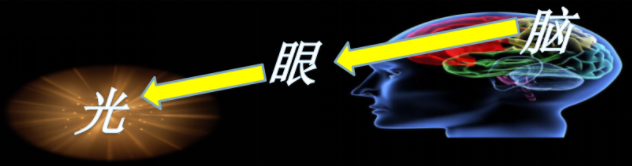 多維視覺(jué)訓(xùn)練