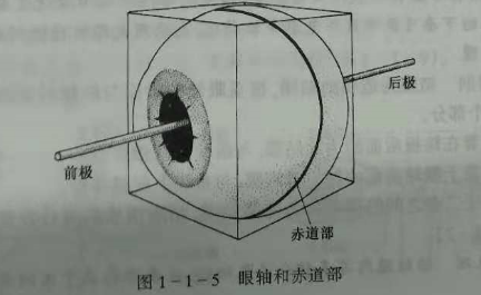 驗(yàn)光師培訓(xùn)知識(shí)點(diǎn)：眼的解剖和生理概述