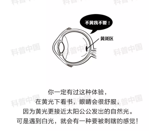 驗(yàn)光師培訓(xùn)科普：護(hù)眼燈真的能保護(hù)眼睛嗎？