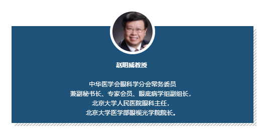 北京大學人民醫(yī)院眼科主任趙明威教授：兒童近視防治核心是“不進展”